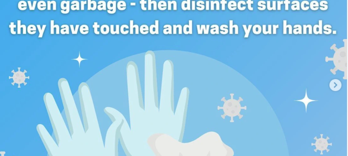covid disinfect