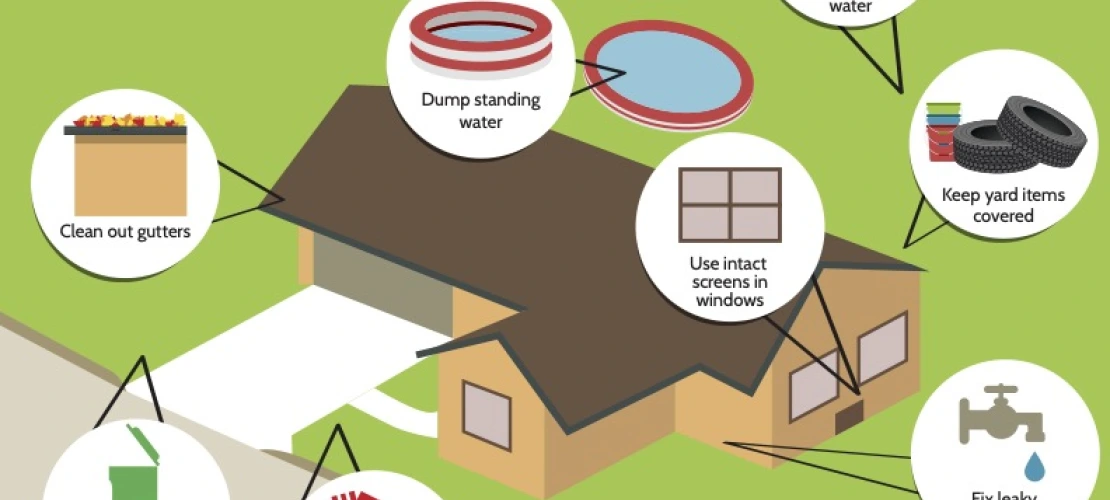 mosquito breeding sites