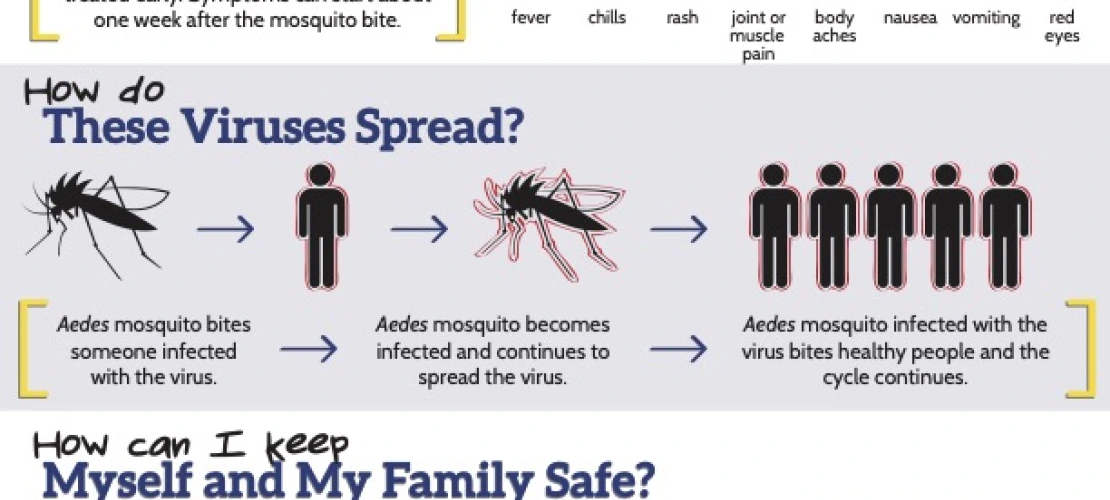mosquito virus fact sheet